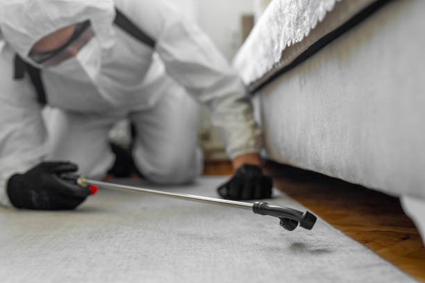 Professional Bed Bug Control technician working in Liberty, TX