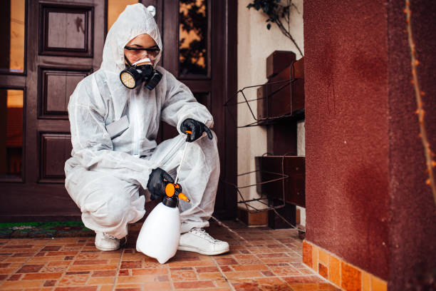 Reliable Bed Bug Control contractor in Liberty, TX by Nex Pest Control